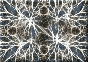 Brain Neurons
